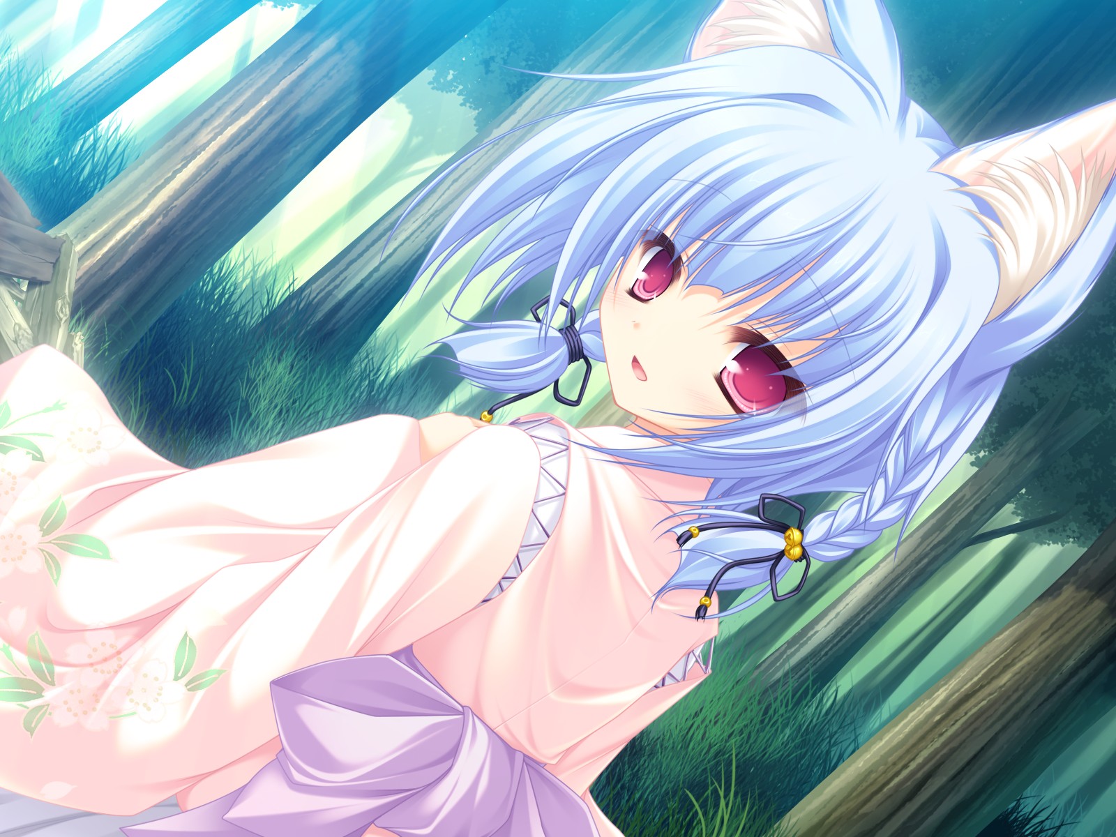 b_hin_02_c.jpg