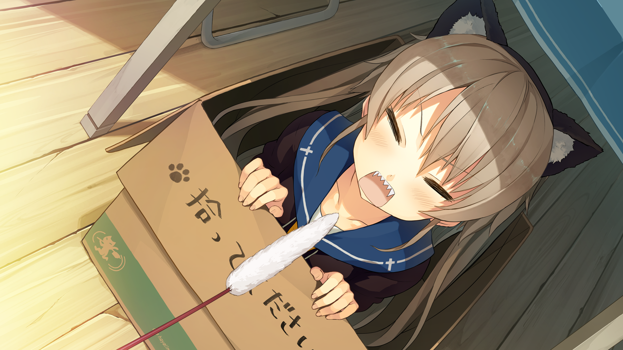 0042_akcg0806.png