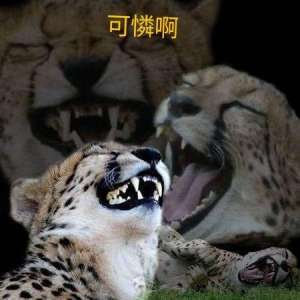 可憐哪7.jpg